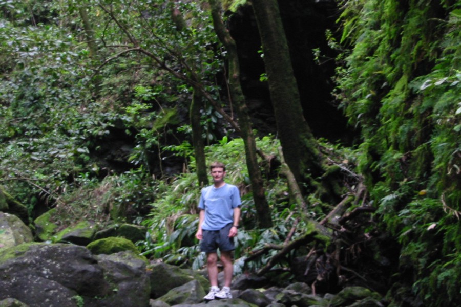 ../image/trail to punalau falls.jpg